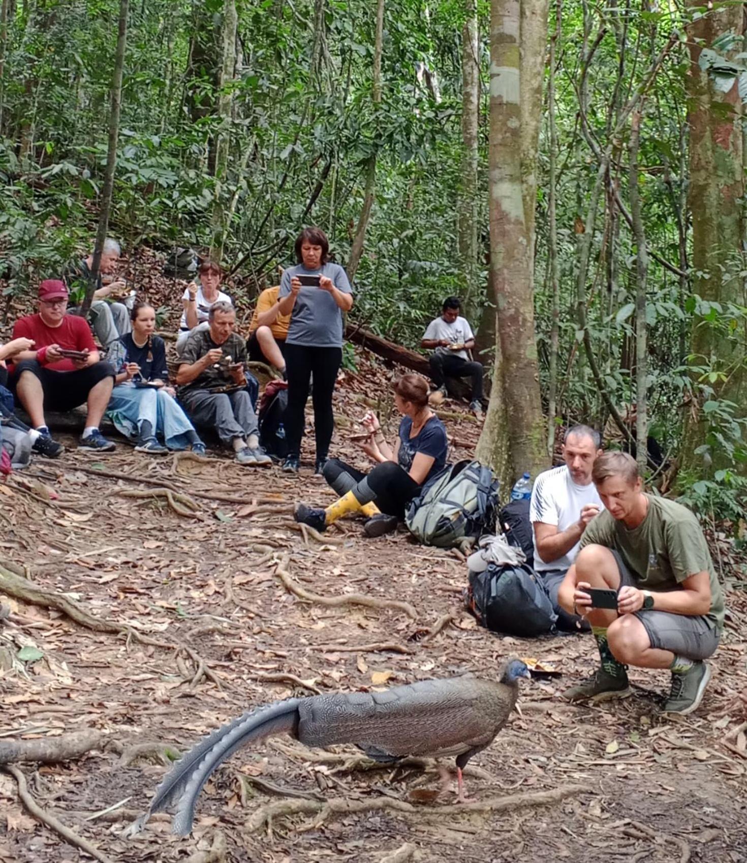 Sama Sama Homestay & Trekking Only Stay Here Book Trekking With Us Bukit Lawang Exterior foto